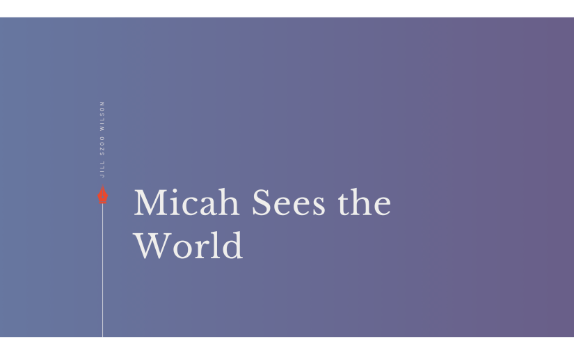 Jill Szoo Wilson Micah Sees the World