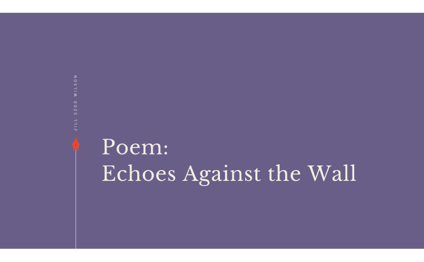 Echoes Against the Wall, by Jill Szoo Wilson