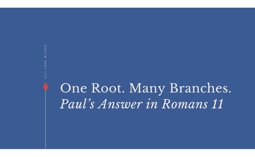 Jill Szoo Wilson essay on Romans 11 Paul Israel and the olive tree