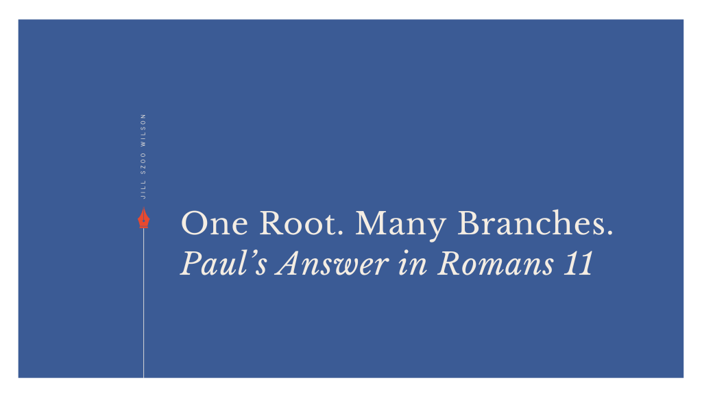 One Root. Many Branches. Paul’s Answer in Romans&nbsp;11