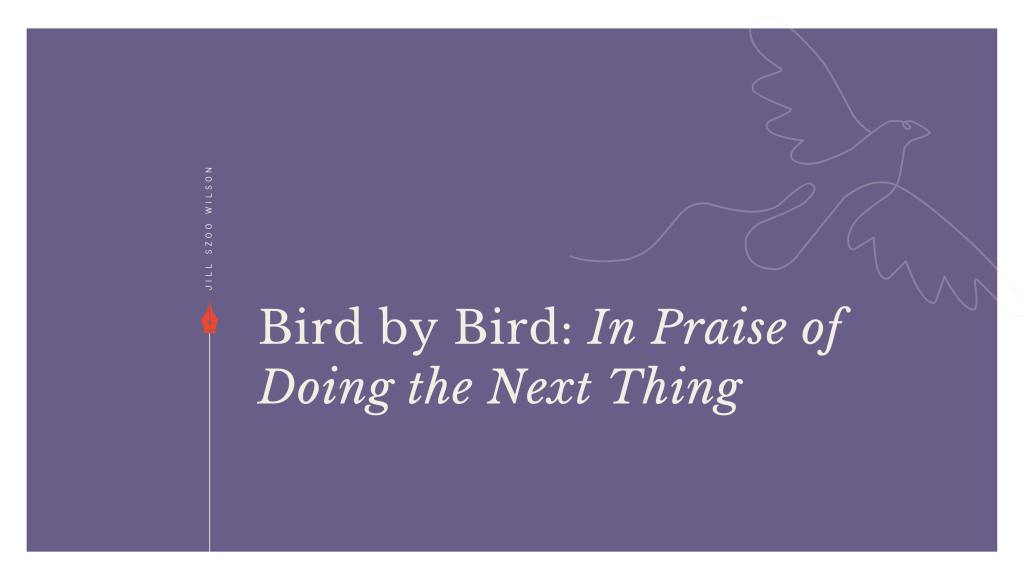 Featured image for Jill Szoo Wilson’s essay Bird by Bird: In Praise of Doing the Next Thing, inspired by Anne Lamott’s approach to overwhelming tasks.